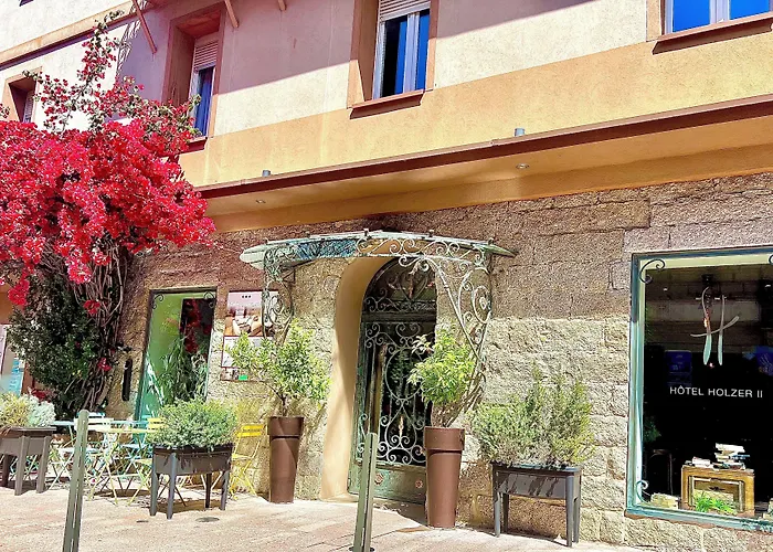 霍利泽酒店 维琪奥港