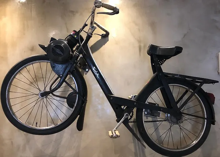 霍利泽酒店 3* 维琪奥港